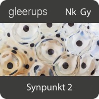 Synpunkt 2 digital elevlicens 12 mån