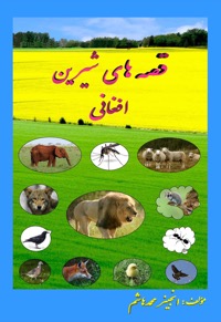 Omslag för 'Afghani Sweet Stories (02-013) - 979477-5-6'