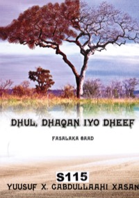 Omslag för 'DHUL, DHAQAN IYO DHEEF FASALAKA 8AAD (ÅK. 8) - kha-s115'
